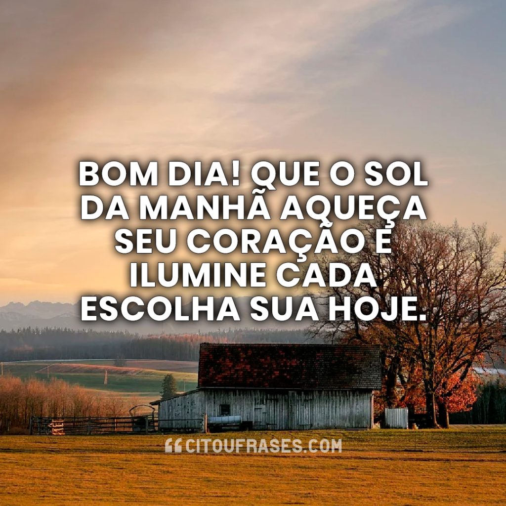 Bom dia! Que o sol da manhã aqueça seu coração e ilumine cada escolha sua hoje.
