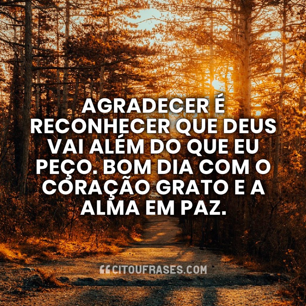 Agradecer é reconhecer que Deus vai além do que eu peço. Bom dia com o coração grato e a alma em paz.