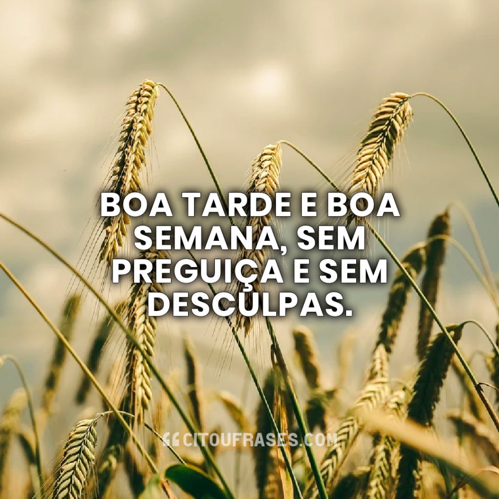 Boa tarde e boa semana, sem preguiça e sem desculpas.