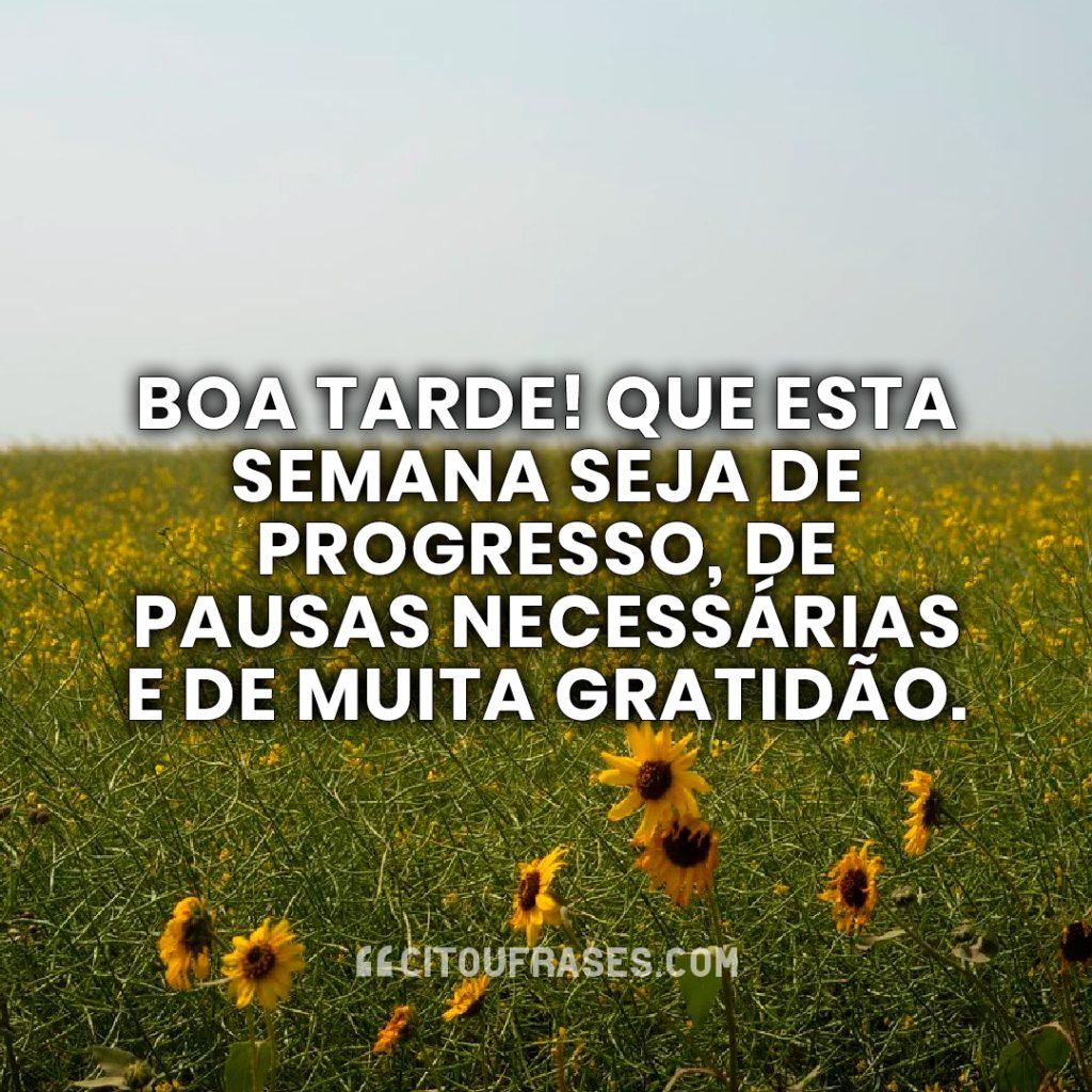 Boa tarde! Que esta semana seja de progresso, de pausas necessárias e de muita gratidão.