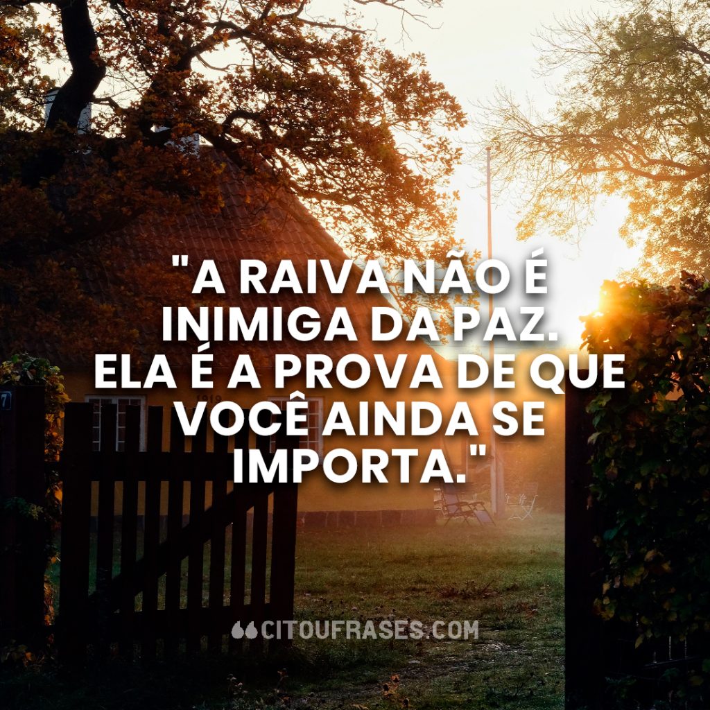 "A raiva não é inimiga da paz. Ela é a prova de que você ainda se importa."