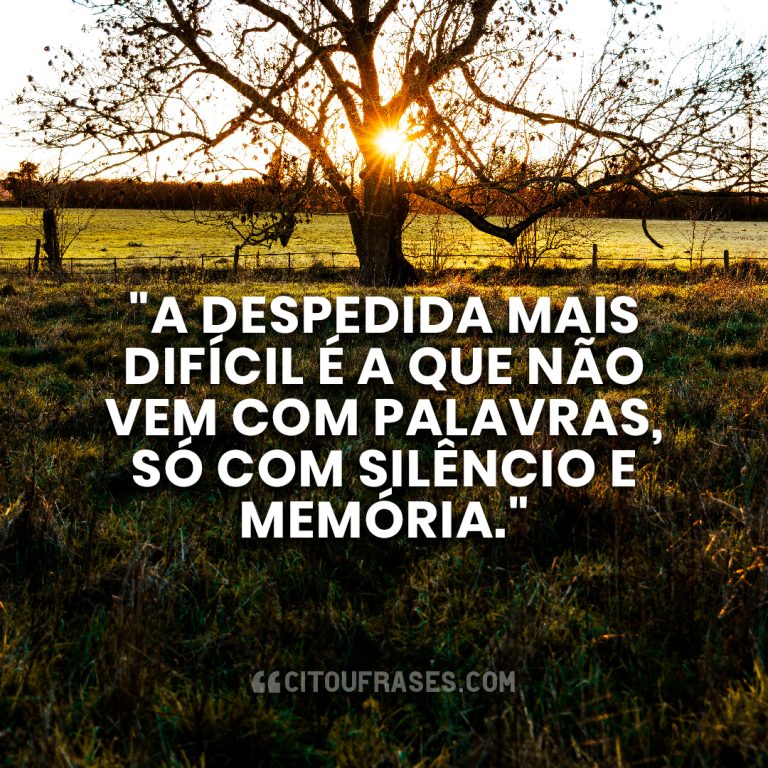 90 Frases de Luto para Status, Despedida e Conforto