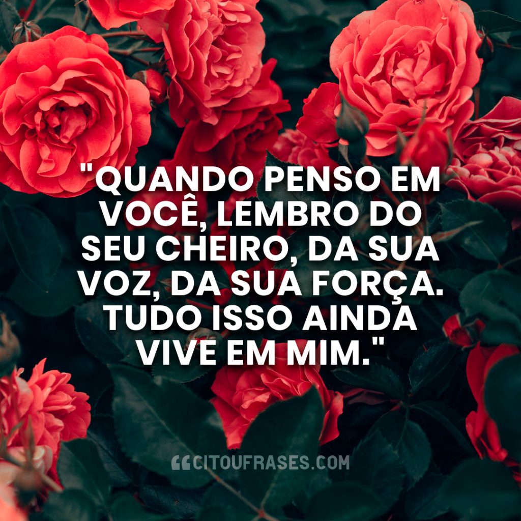 "Quando penso em você, lembro do seu cheiro, da sua voz, da sua força. Tudo isso ainda vive em mim."