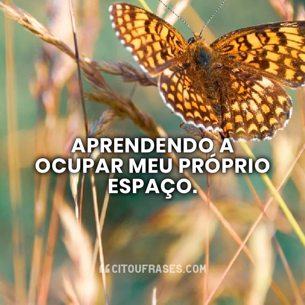 Aprendendo a ocupar meu próprio espaço.