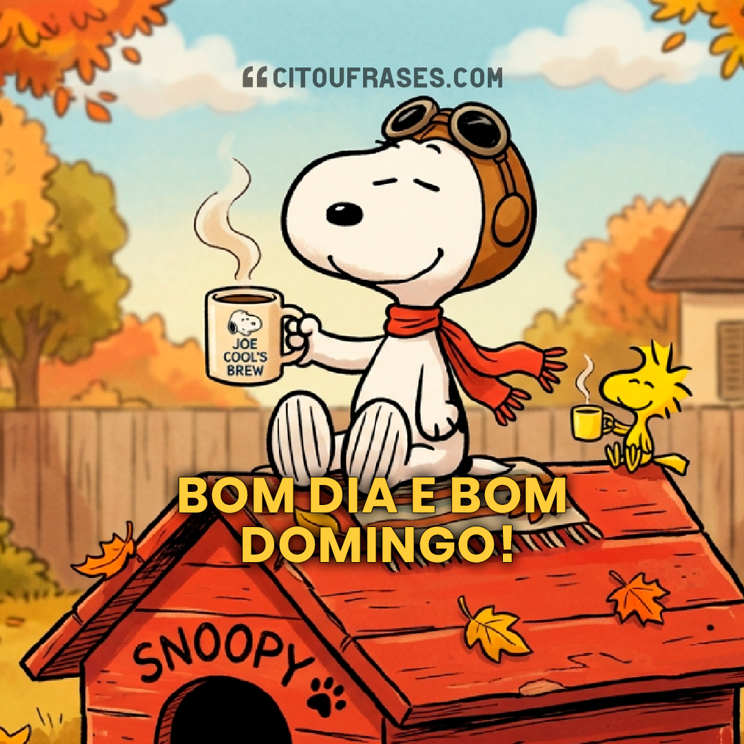 90 mensagens de Bom dia Domingo feliz e abençoado