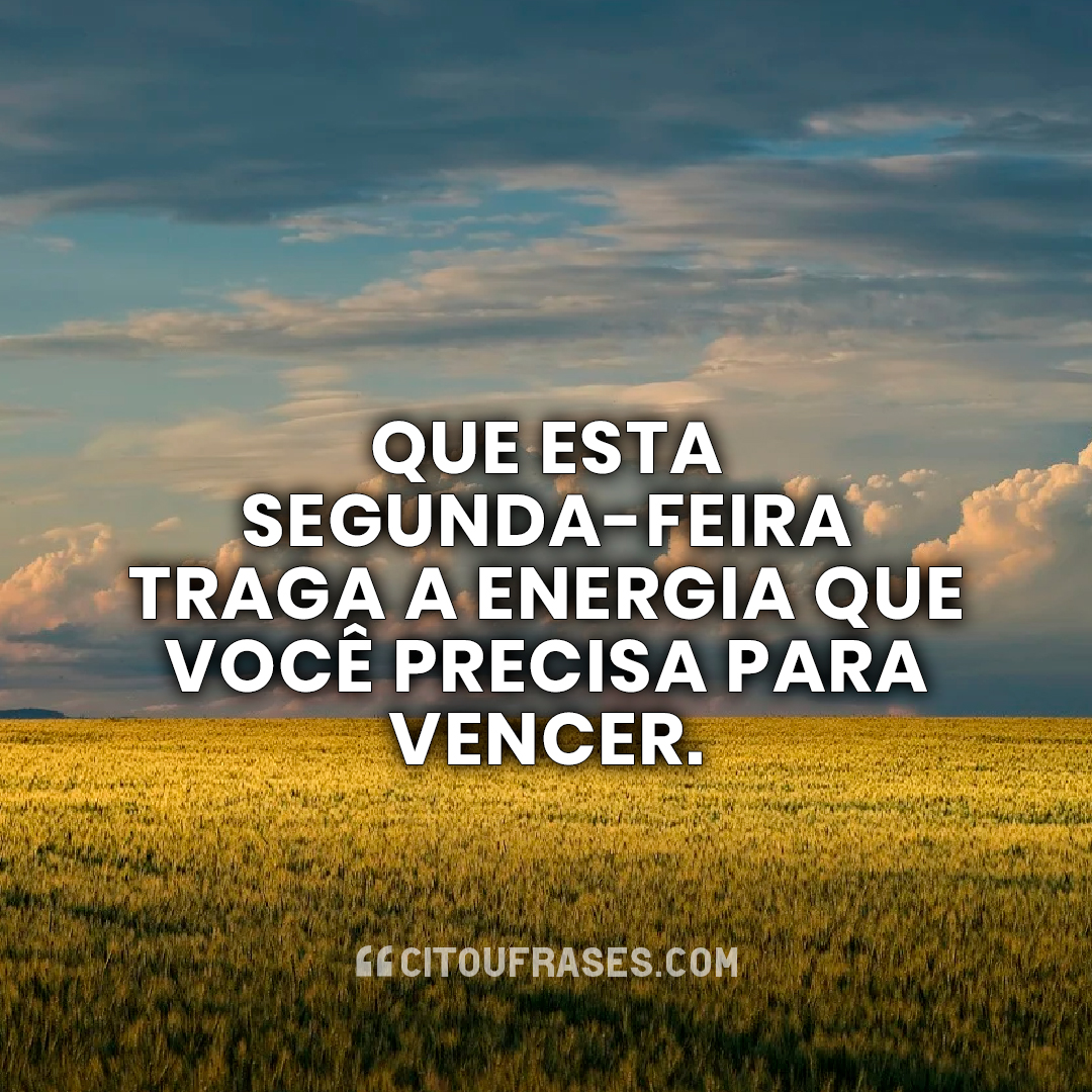 60 Mensagens de Boa Tarde Segunda-Feira para Enviar