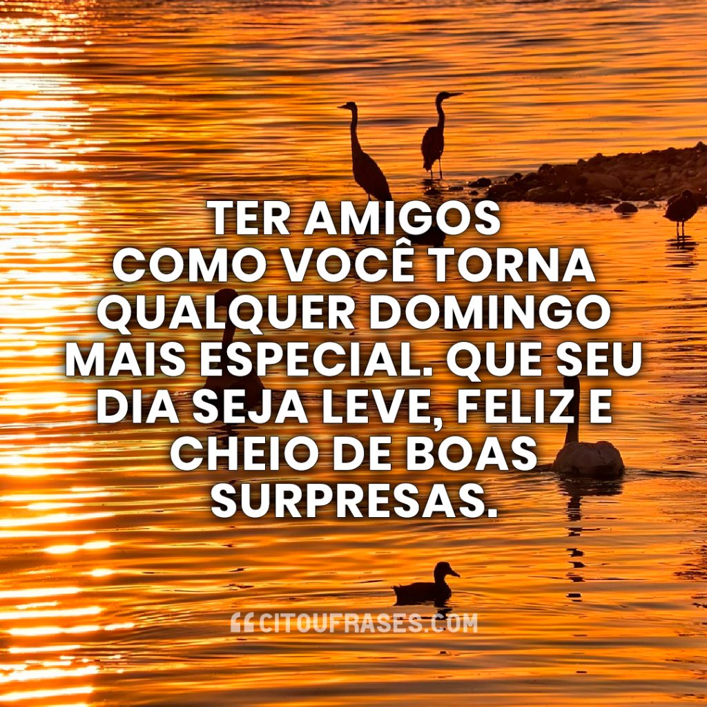 Ter amigos como você torna qualquer domingo mais especial. Que seu dia seja leve, feliz e cheio de boas surpresas.