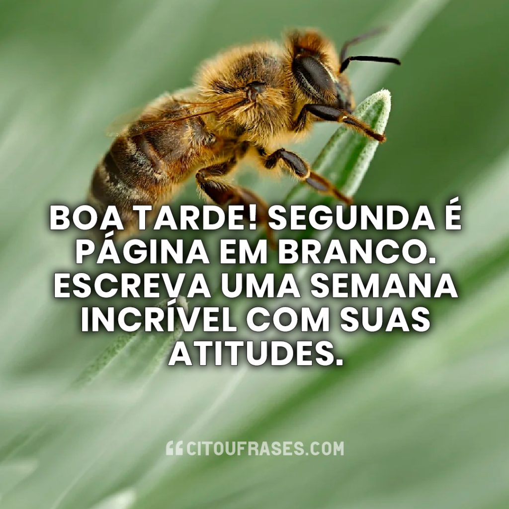 Boa tarde segunda-feira