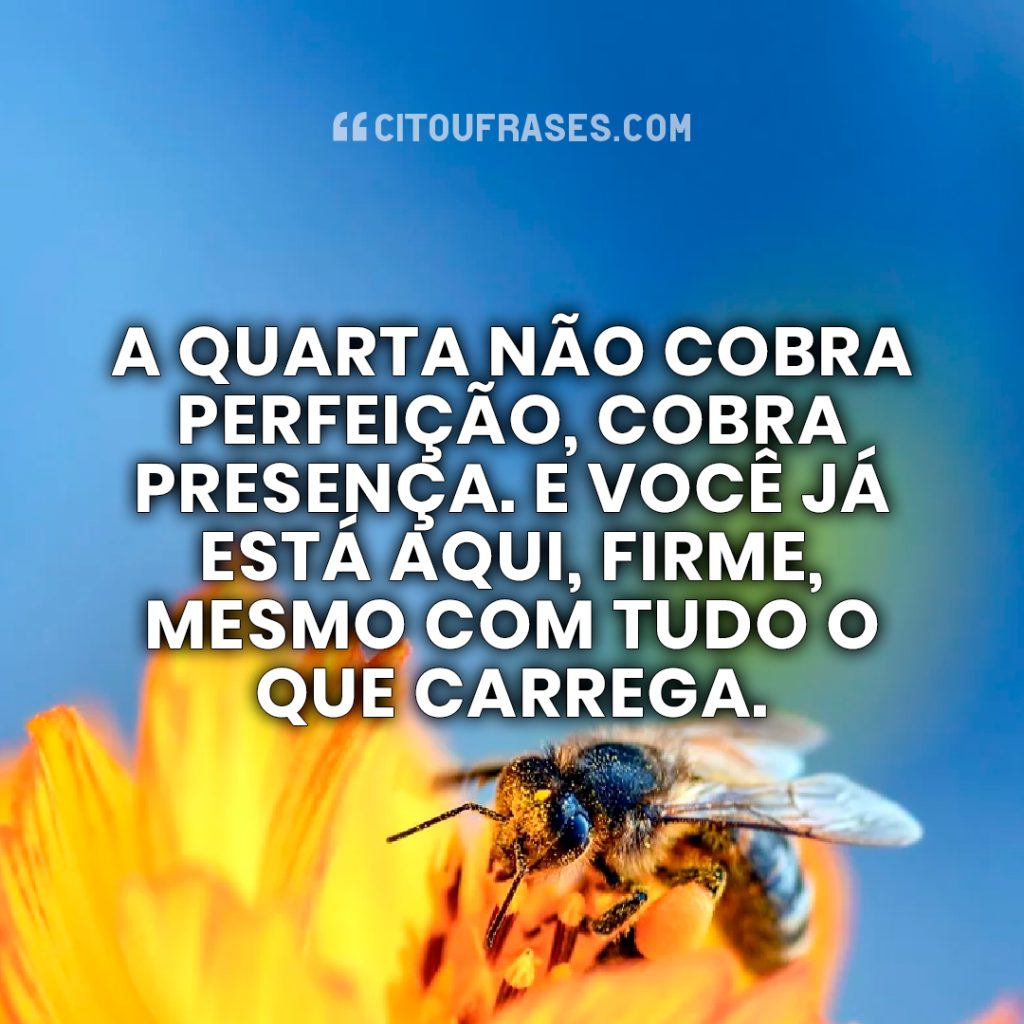 Boa Tarde Quarta-Feira