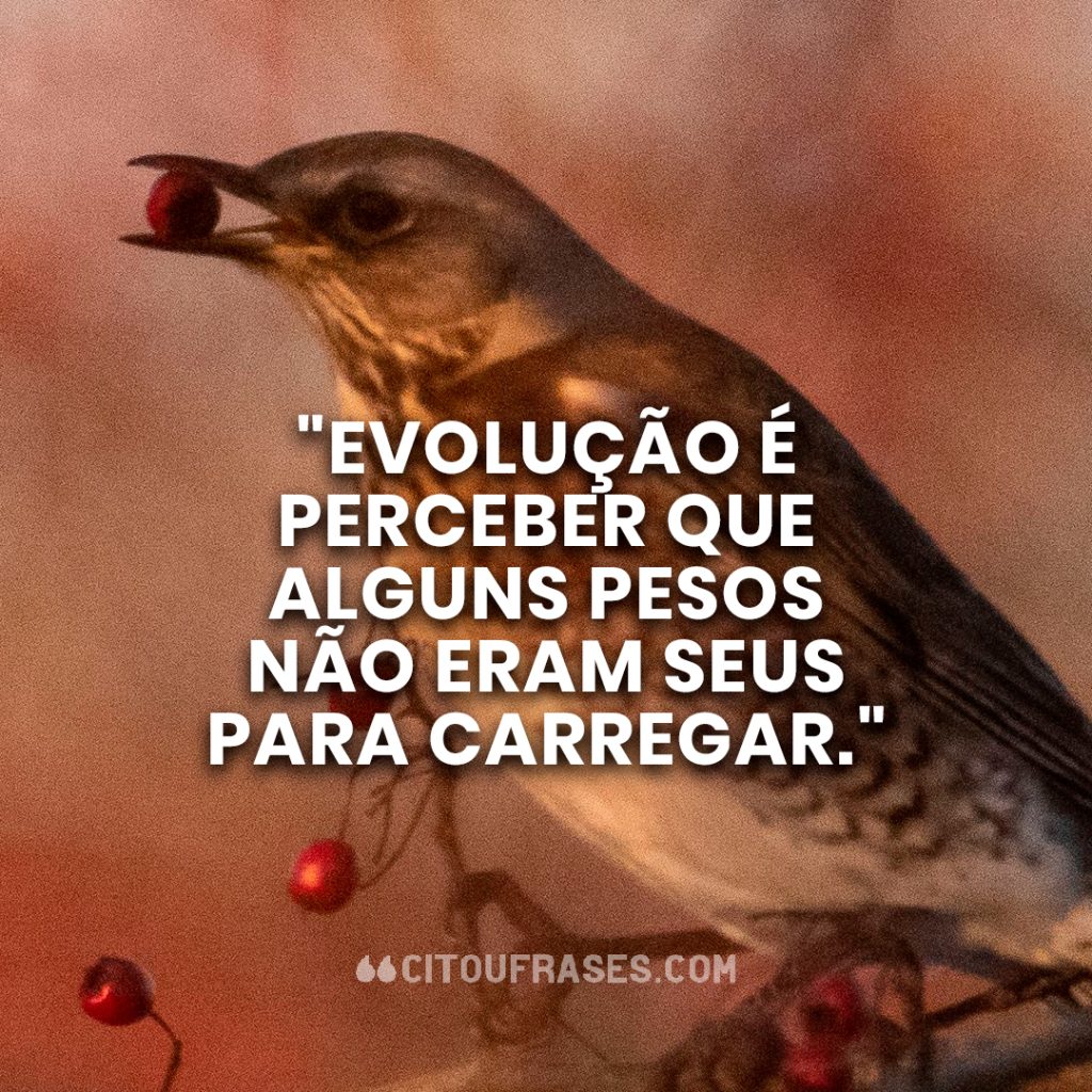 "Evolução é perceber que alguns pesos não eram seus para carregar."