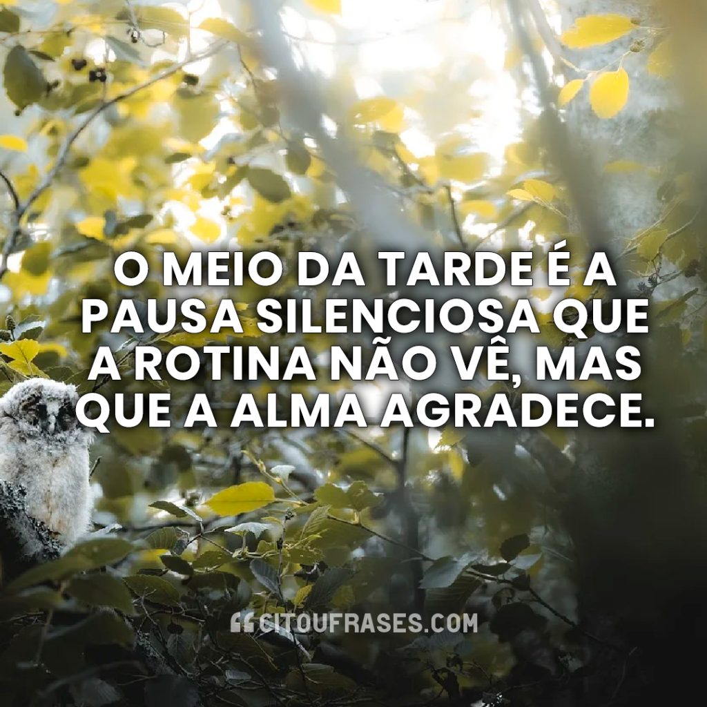 O meio da tarde é a pausa silenciosa que a rotina não vê, mas que a alma agradece.