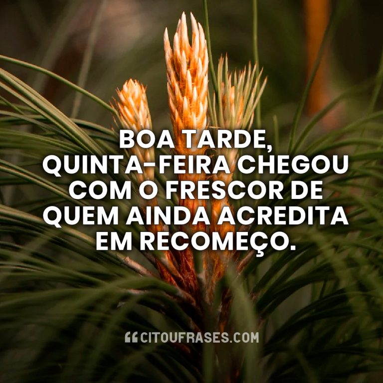 Boa Tarde Quinta-Feira: 90 Mensagens Maravilhosas
