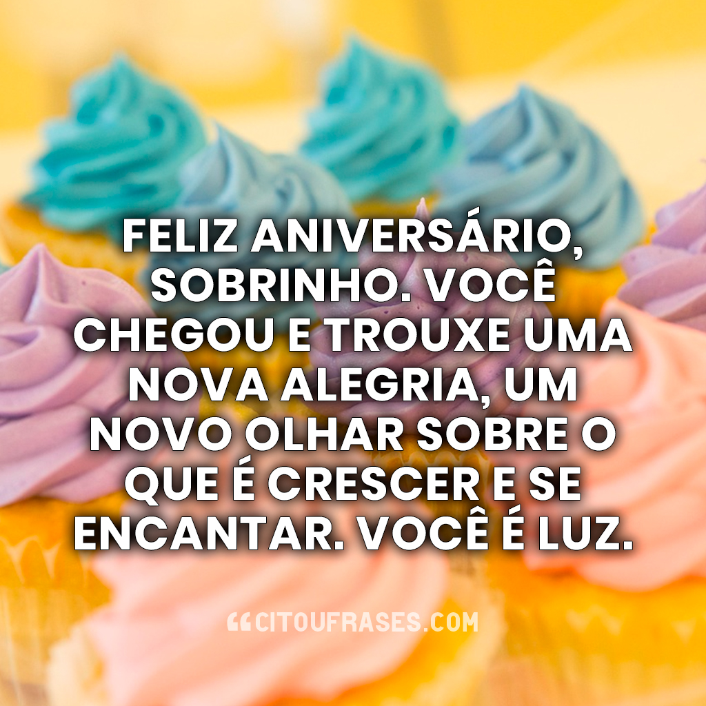 Feliz aniversário, sobrinho. Você chegou e trouxe uma nova alegria, um novo olhar sobre o que é crescer e se encantar. Você é luz.