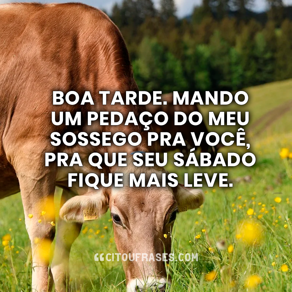 Boa tarde sábado. Mando um pedaço do meu sossego pra você, pra que seu sábado fique mais leve.