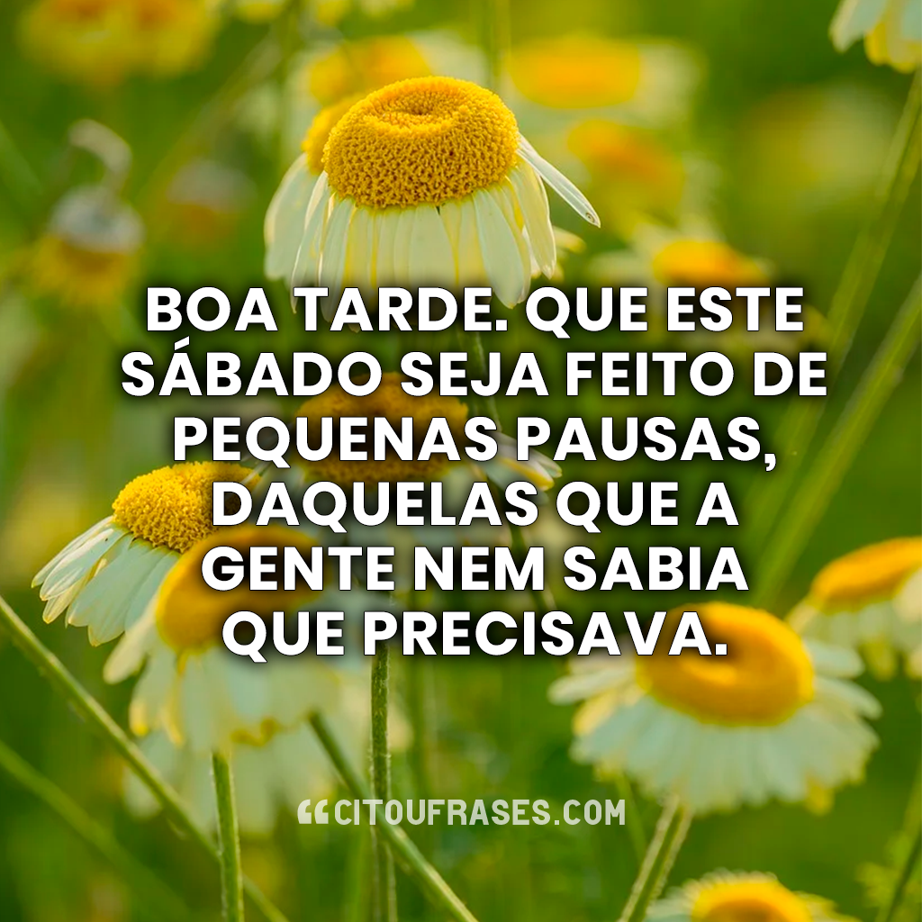 Boa tarde. Que este sábado seja feito de pequenas pausas, daquelas que a gente nem sabia que precisava. Boa tarde sábado. Que este sábado seja feito de pequenas pausas, daquelas que a gente nem sabia que precisava.